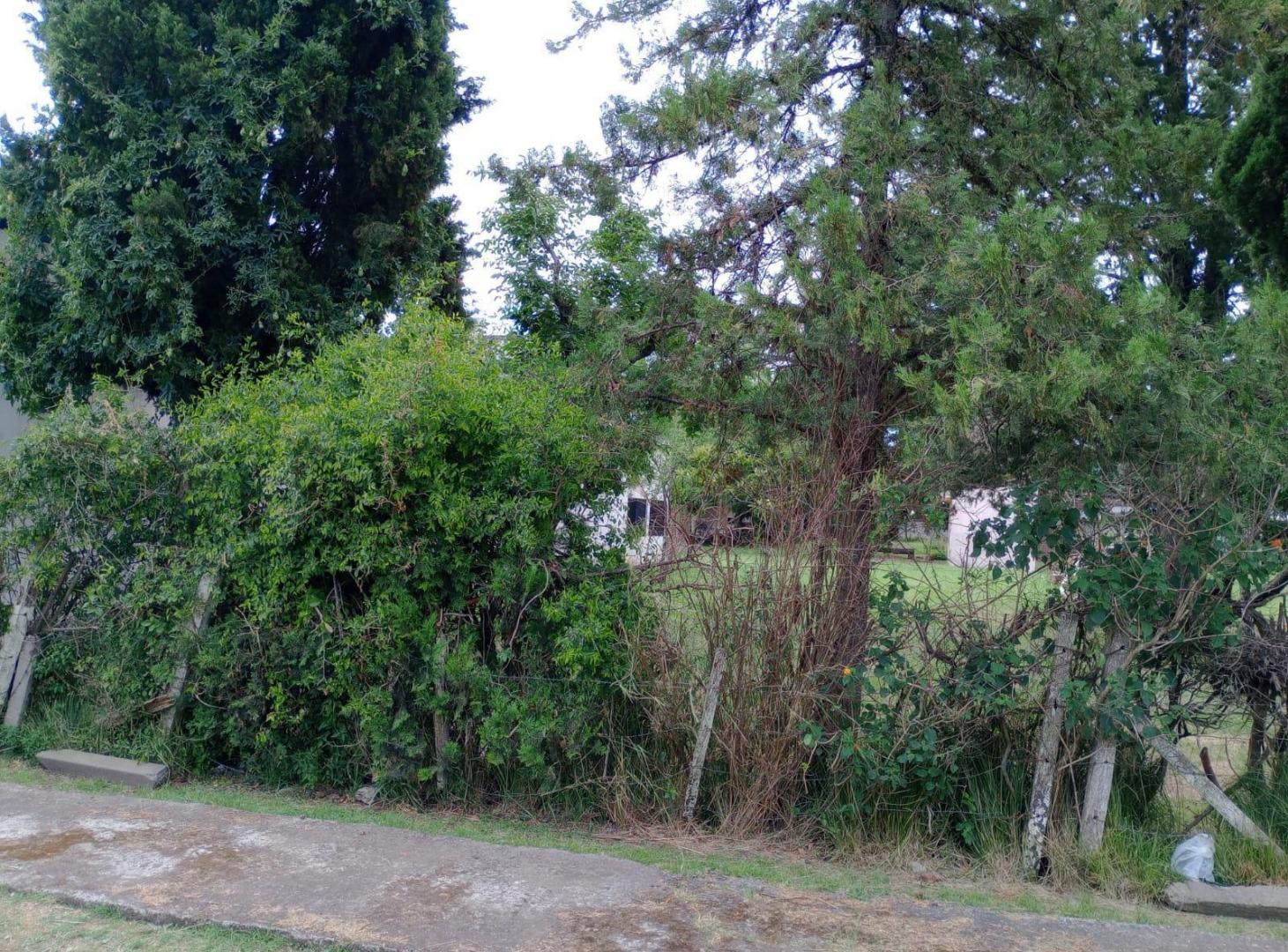 Foto de Terreno en Florencio Varela-Venta, imagen 5