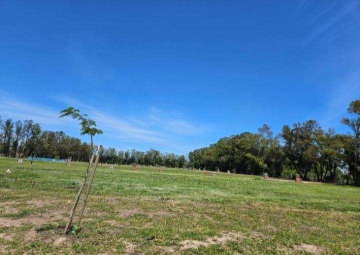 Foto de Venta de Terreno en Barrio Santa Sofia Pilar del Este exclente relacion, imagen 5