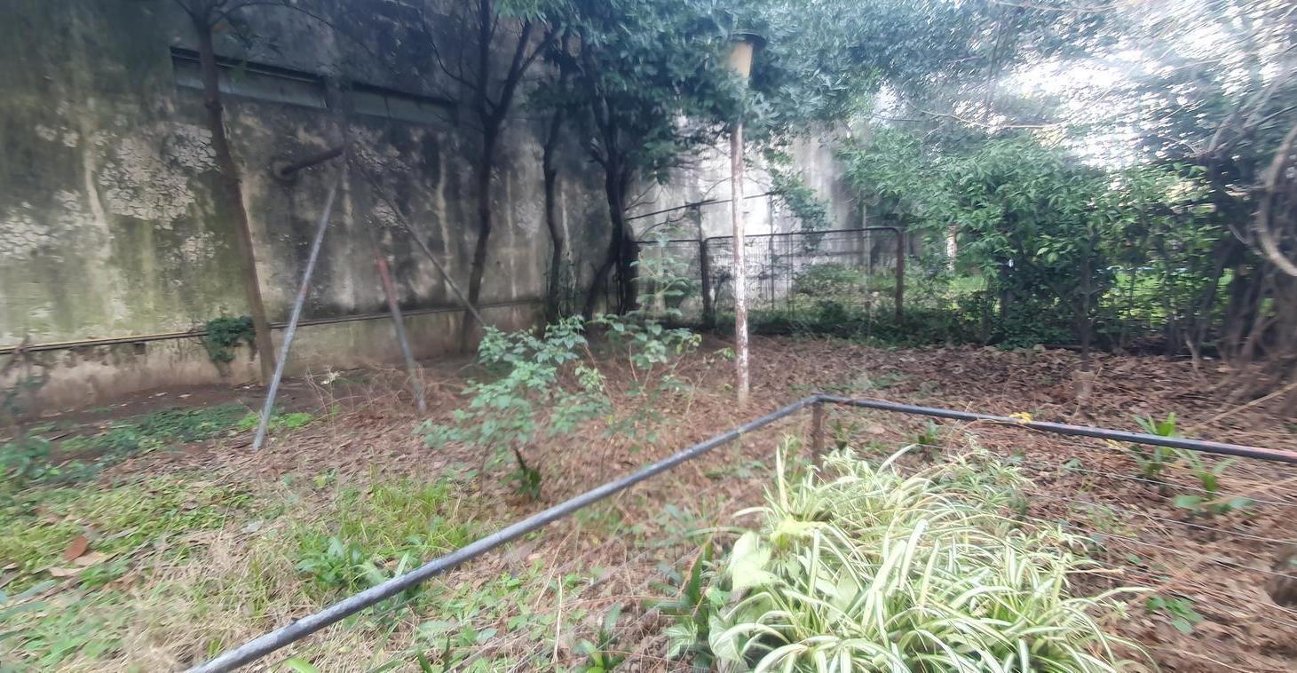 Foto de CASA DOBLE LOTE 9 AMBIENTES CON PARQUE Y PILETA, imagen 5
