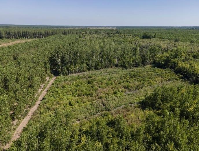 Foto de Campo en venta con casa y pileta 80.000 m2 de terreno ideal proyecto, imagen 1