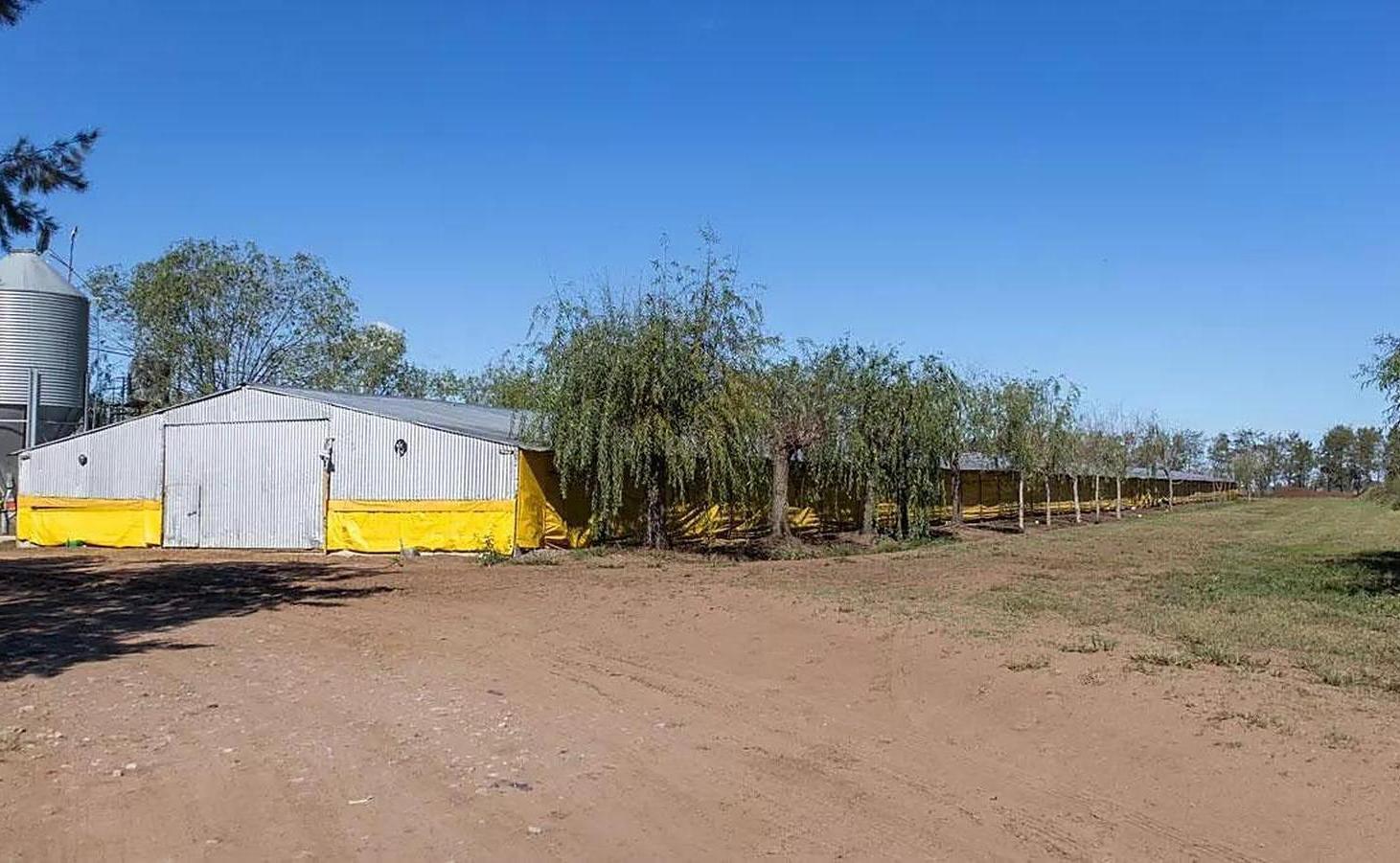 Foto de Granja avícola en Venta 30 galpones en 25 de Mayo con 10 casas para uso, imagen 4