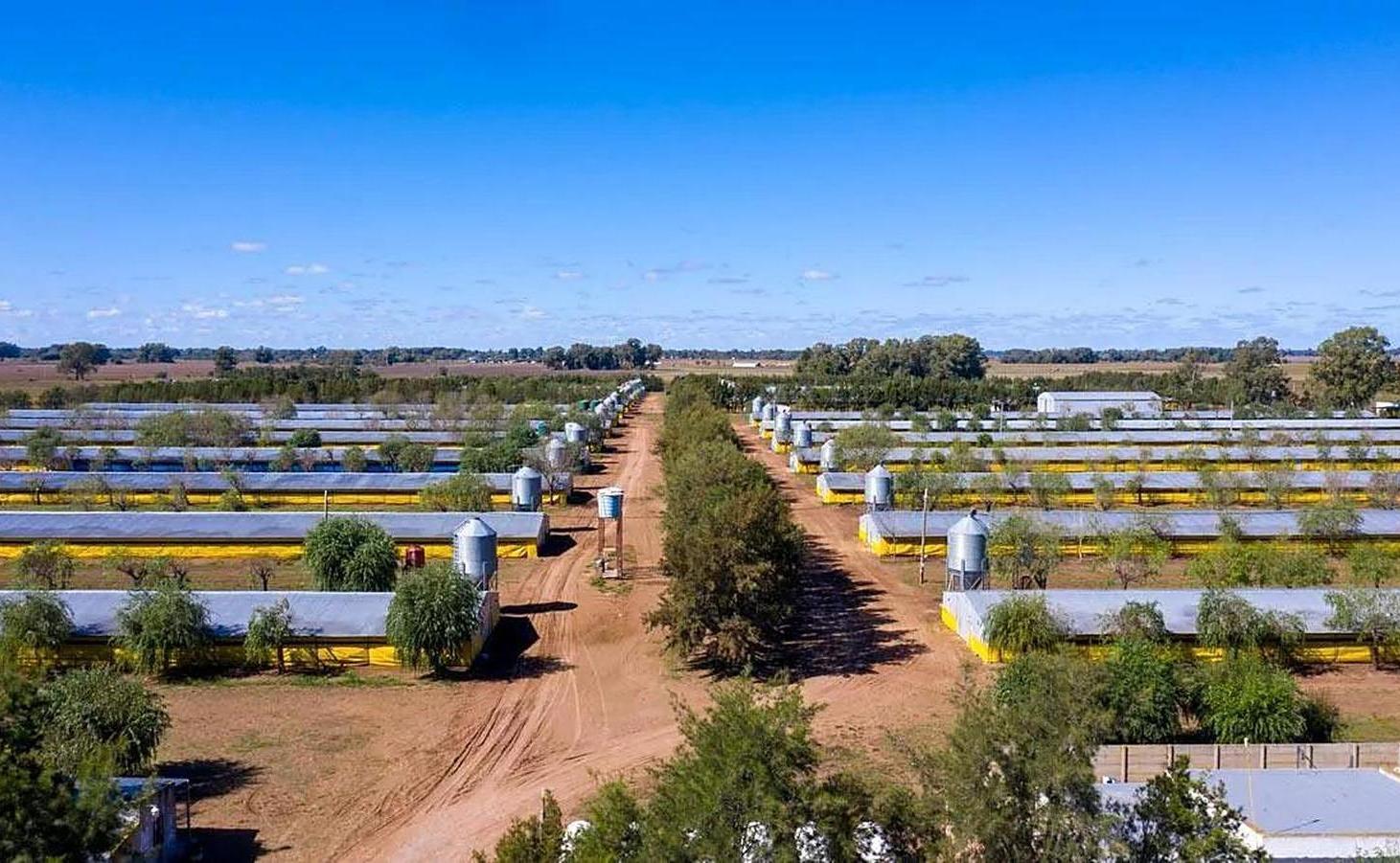 Foto de Granja avícola en Venta 30 galpones en 25 de Mayo con 10 casas para uso, imagen 2
