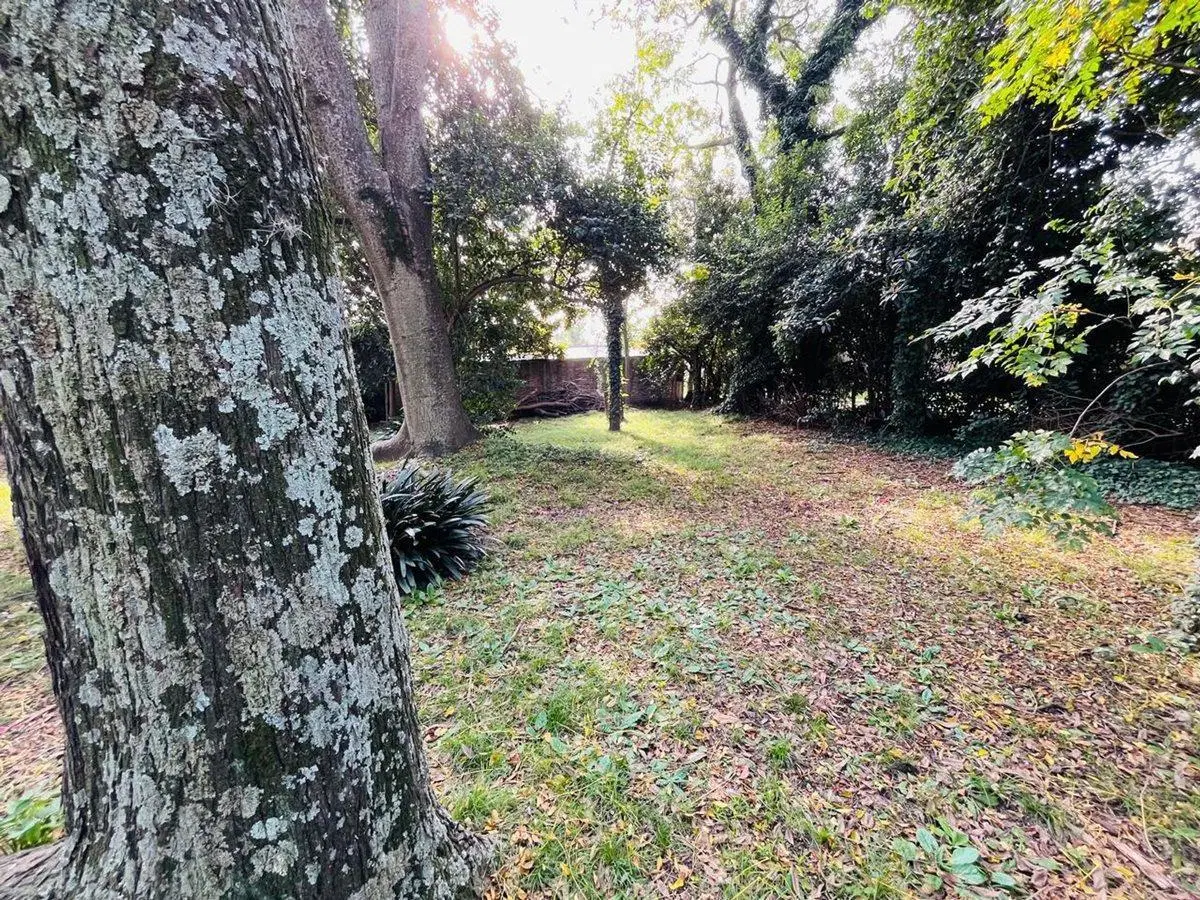 LOTE EN VENTA 326 MTS BURZACO MUY BIEN UBICADO 3