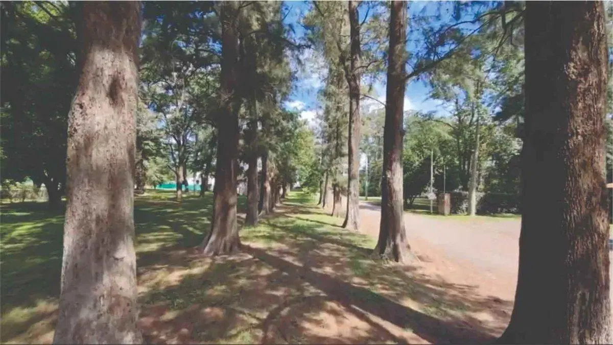 VENTA LOTE CAÑUELAS 800 M² BARRIO CERRADO NATURAL 5