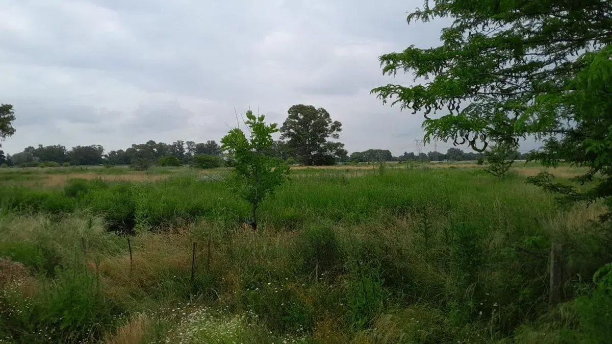 Venta Lote de 38.250 m² 4