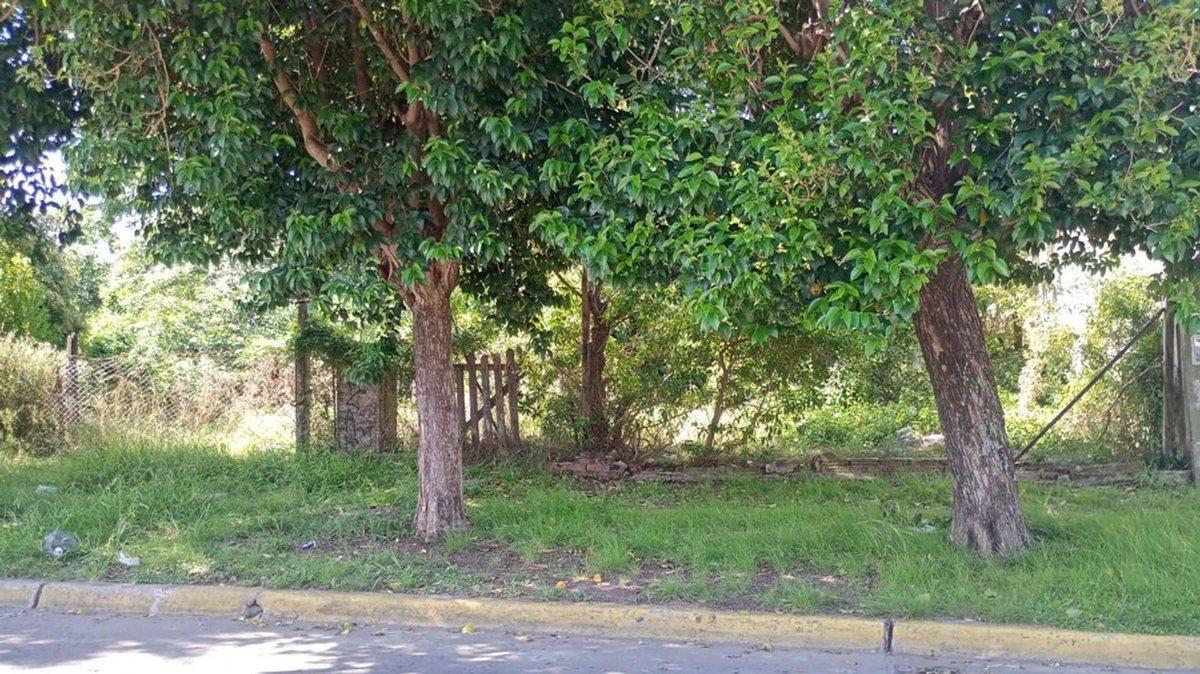 Imagen de la propiedad