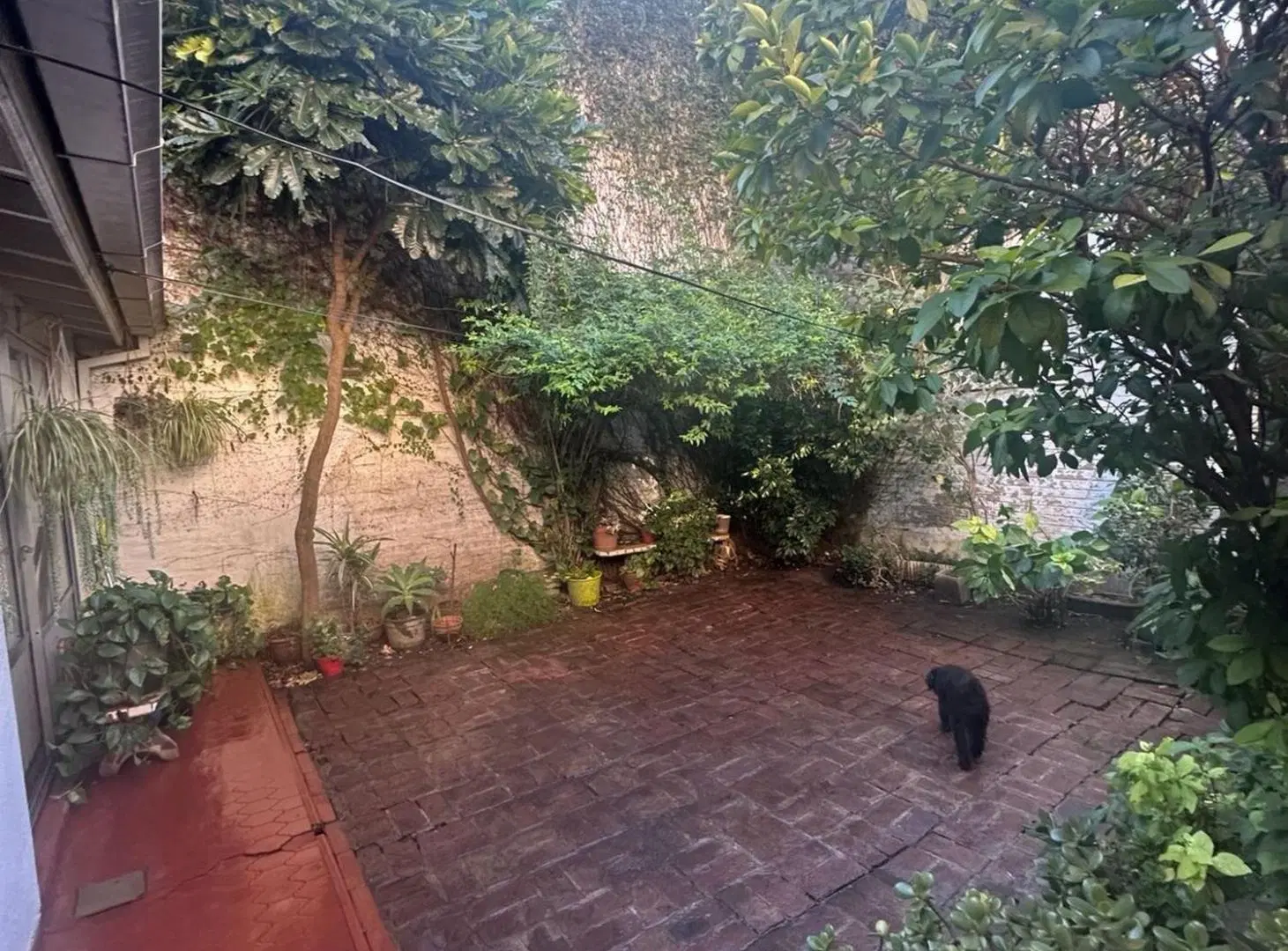 CASA EN VENTA 4 AMBIENTES EN JOSE MARMOL 5