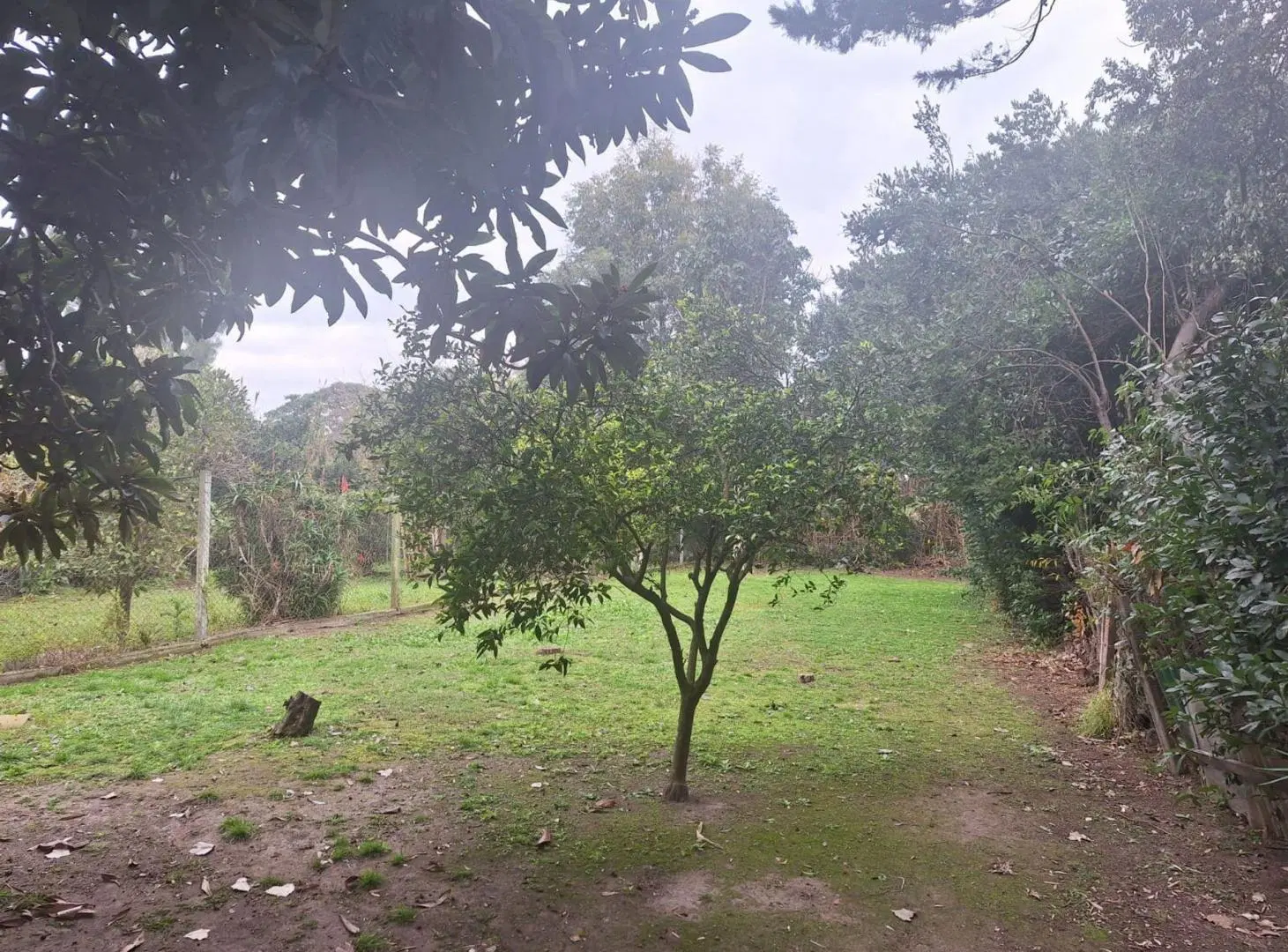 CASA VENTA 2 AMBIENTES GLEW SOBRE LOTE 683 M2 3