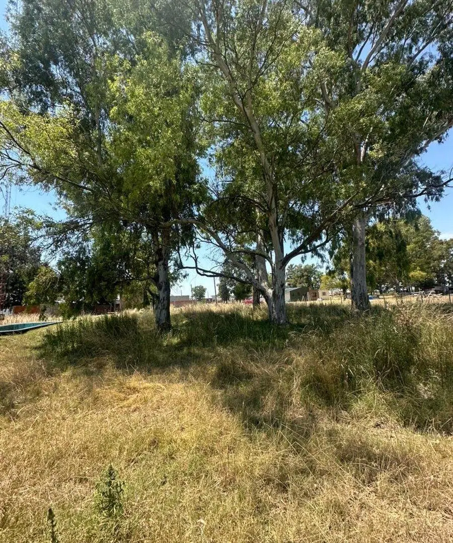 Venta Terreno 325 mts en Alejandro Korn 3