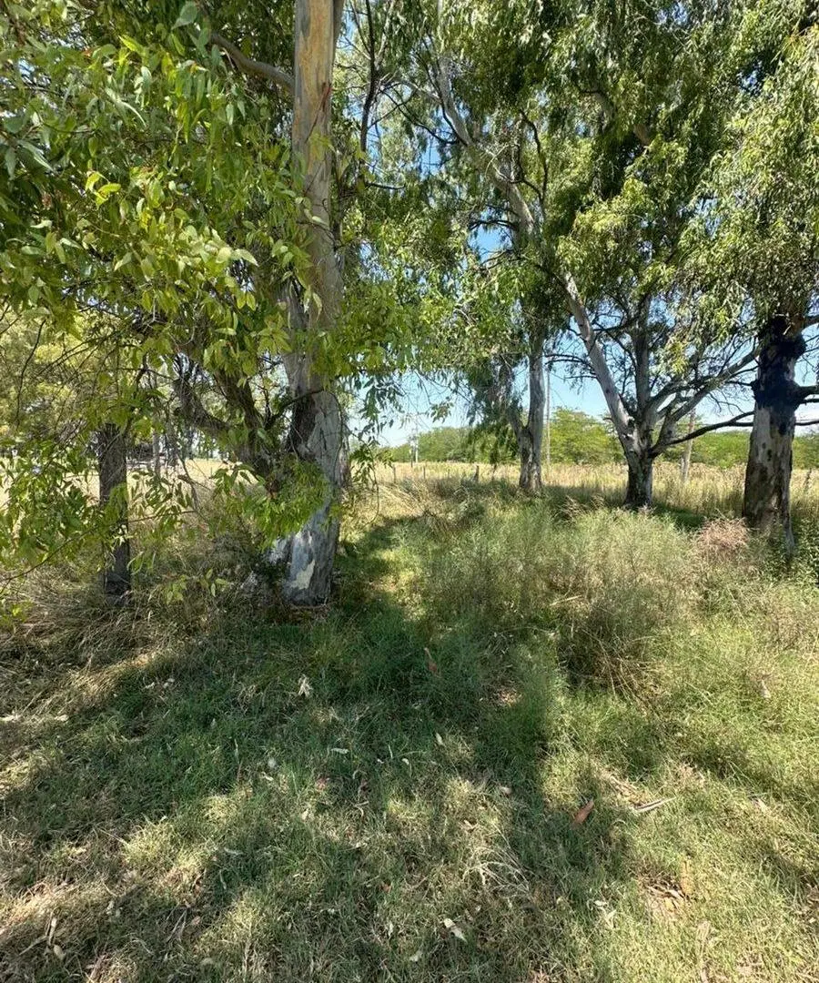 Venta Terreno 325 mts en Alejandro Korn 4