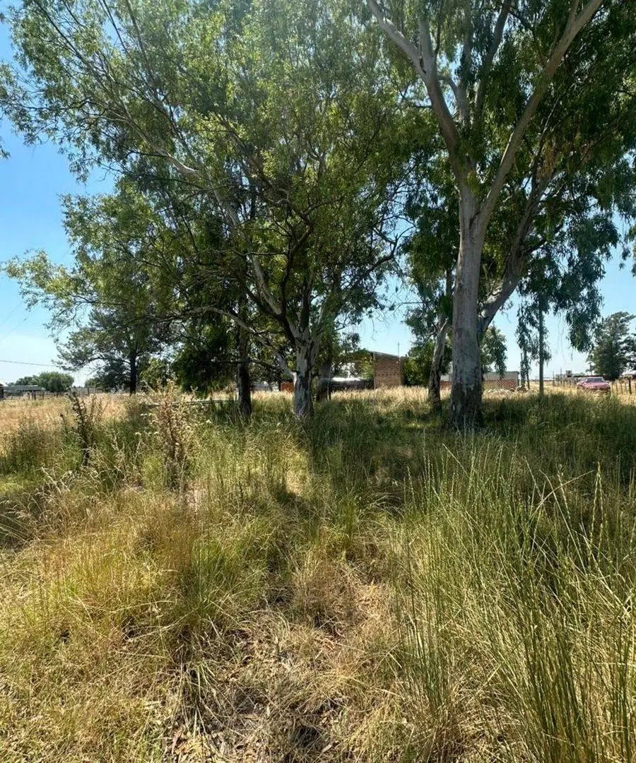 Lote en venta en Alejandro Korn con pileta. 5
