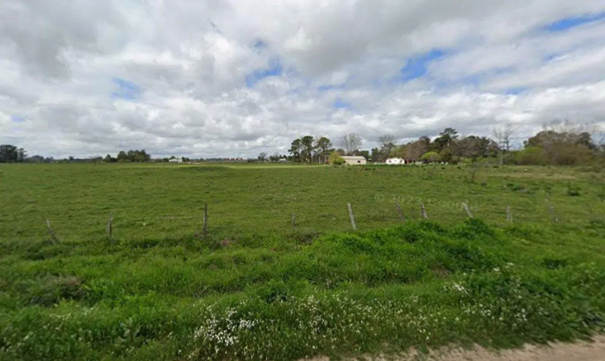 Campo de 3,5 ha c/ Casa en Alquiler en San Vicente 4