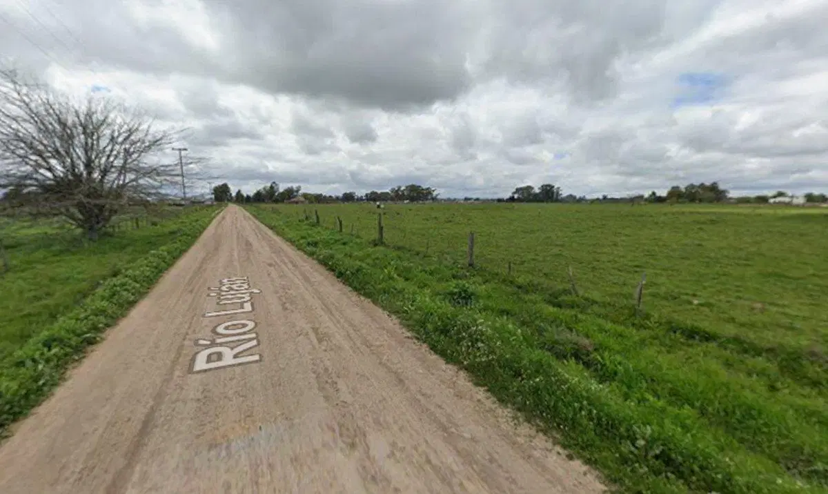 Campo de 3,5 ha c/ Casa en Alquiler en San Vicente 3