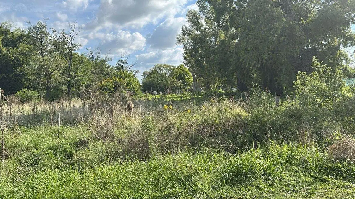 Lote en venta San Vicente de 526 mts 4