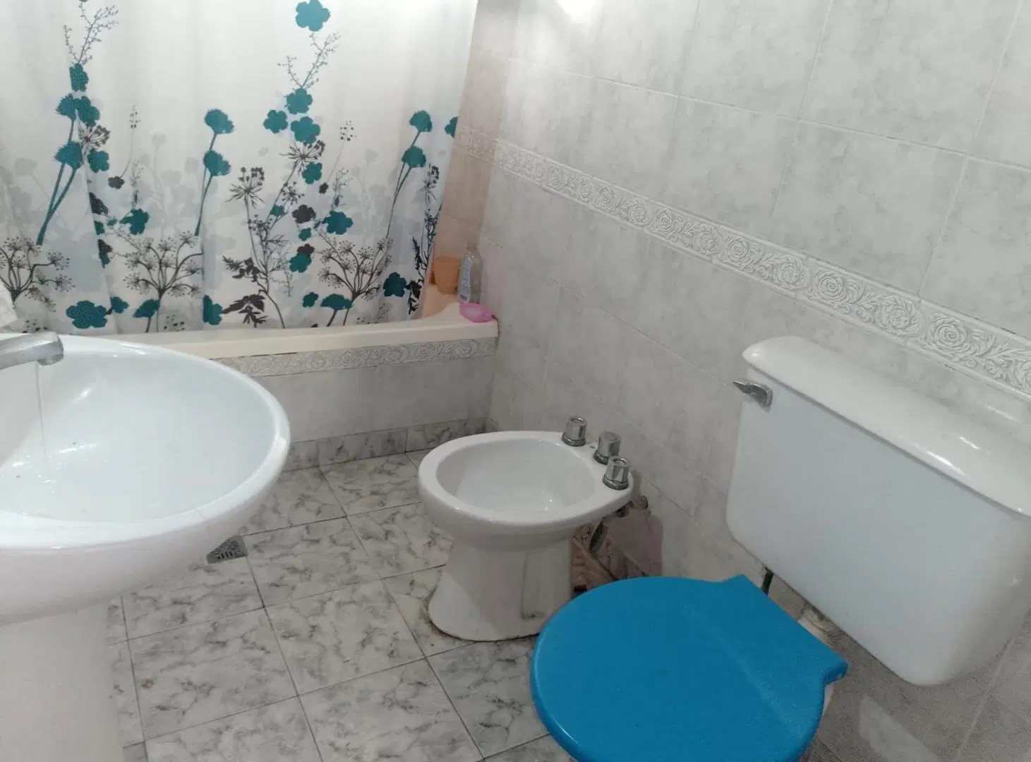 DEPARTAMENTO + CASA A RECICLAR, SAN JOSE TEMPERLEY 5