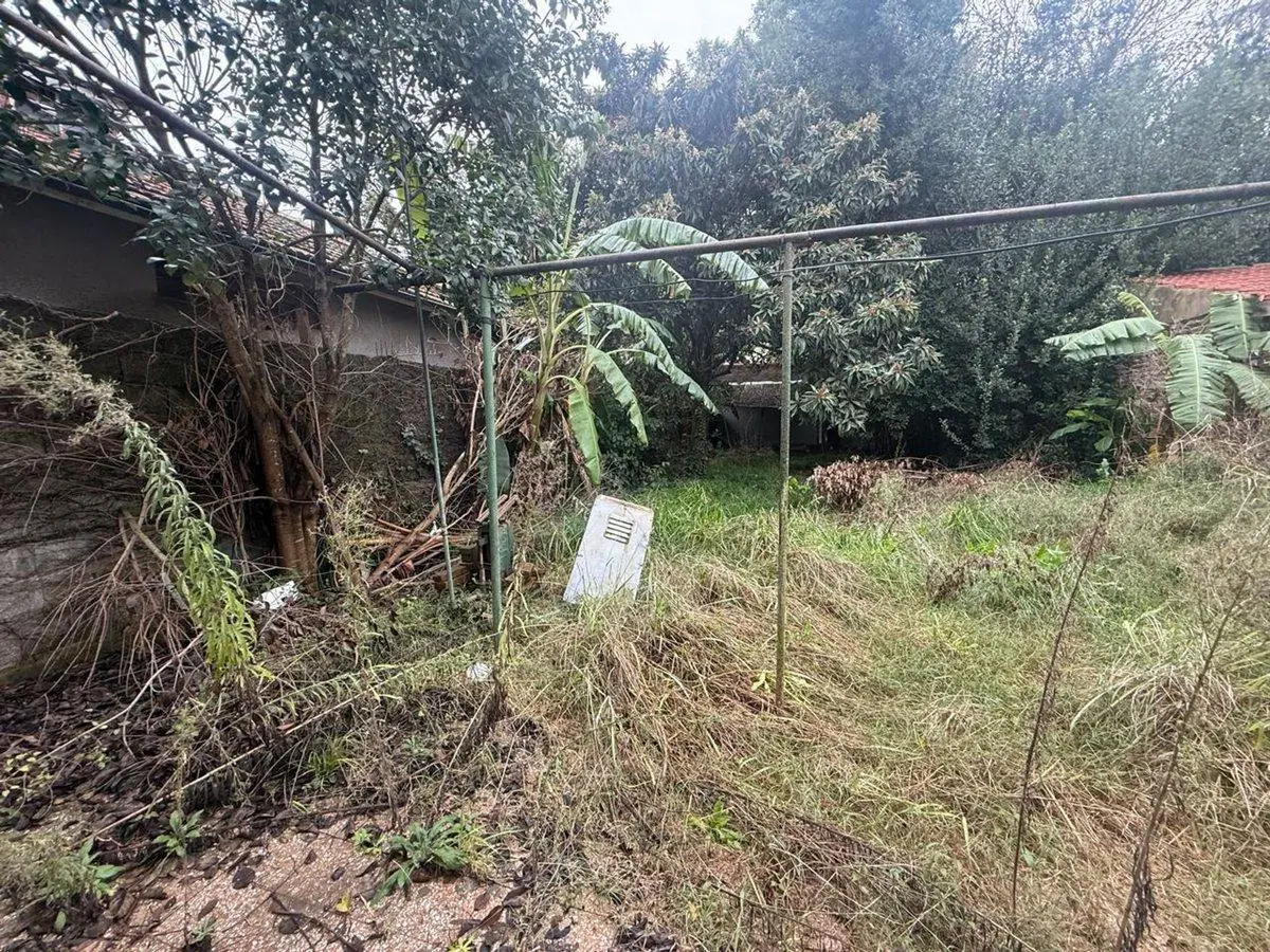 VENTA LOTE  EN LONGCHAMPS 2