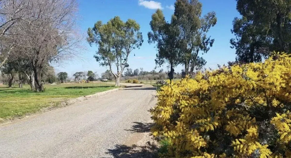 LOTE BARRIO PRIVADO SAINT JOSEPH VENTA OPORTUNIDAD 3