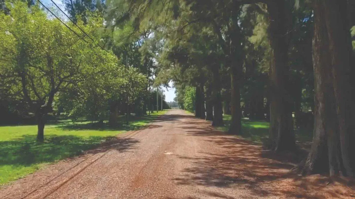 VENTA LOTE CAÑUELAS 800 M² BARRIO CERRADO NATURAL 5