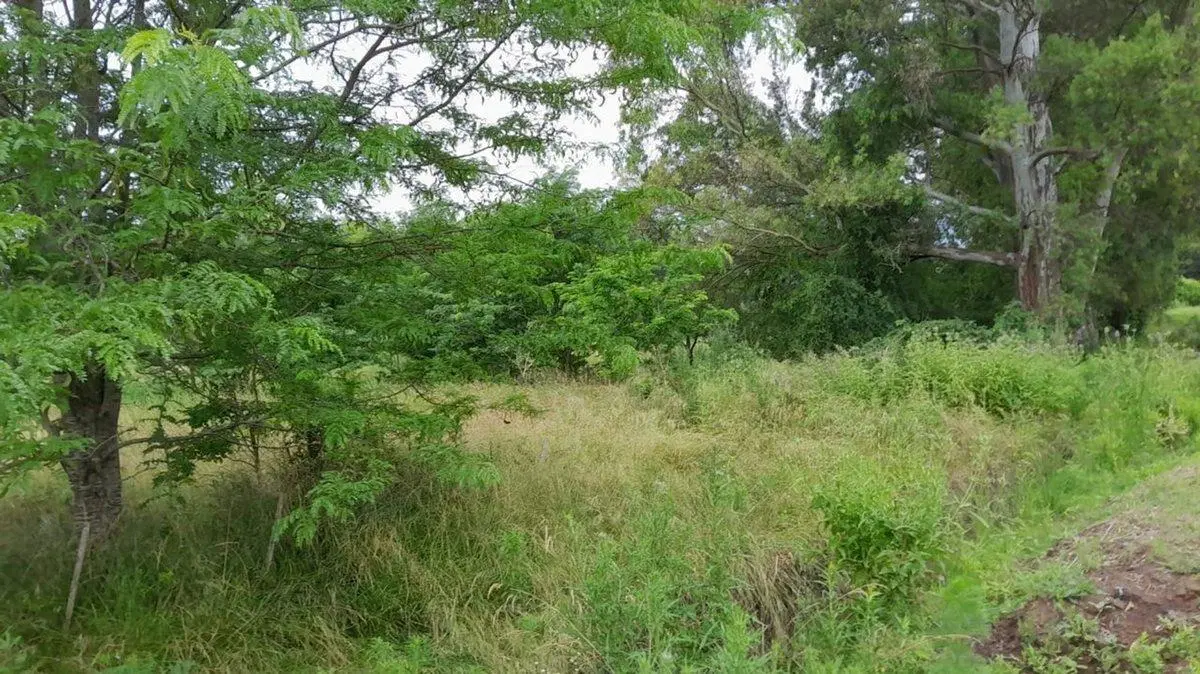Venta Lote de 38.250 m² 2