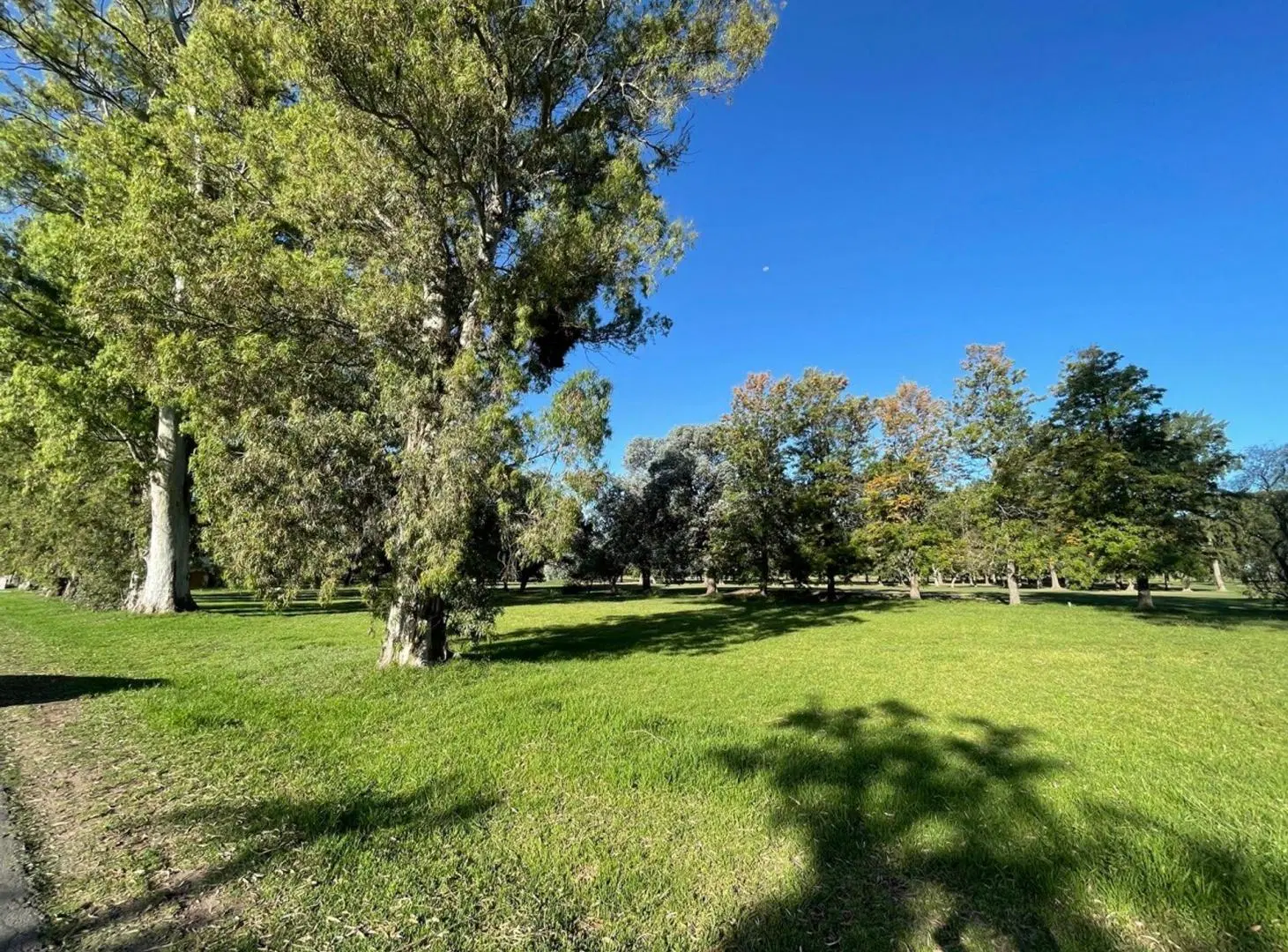 VENTA LOTE 670M2 AL GOLF - COUNTRY CLUB EL PARAISO 5