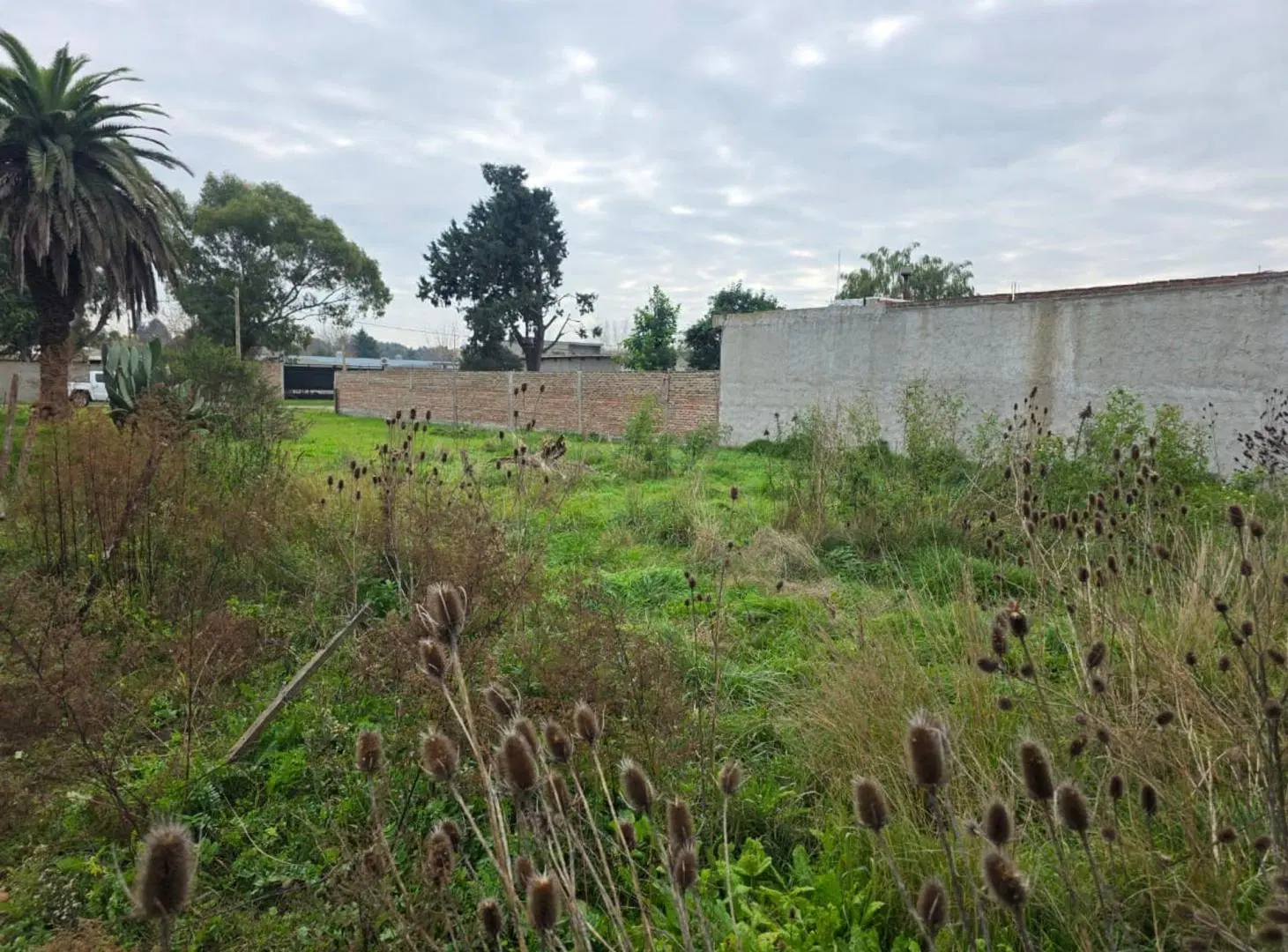 VENTA DE LOTE EN SAN VICENTE excelente ubicación 2