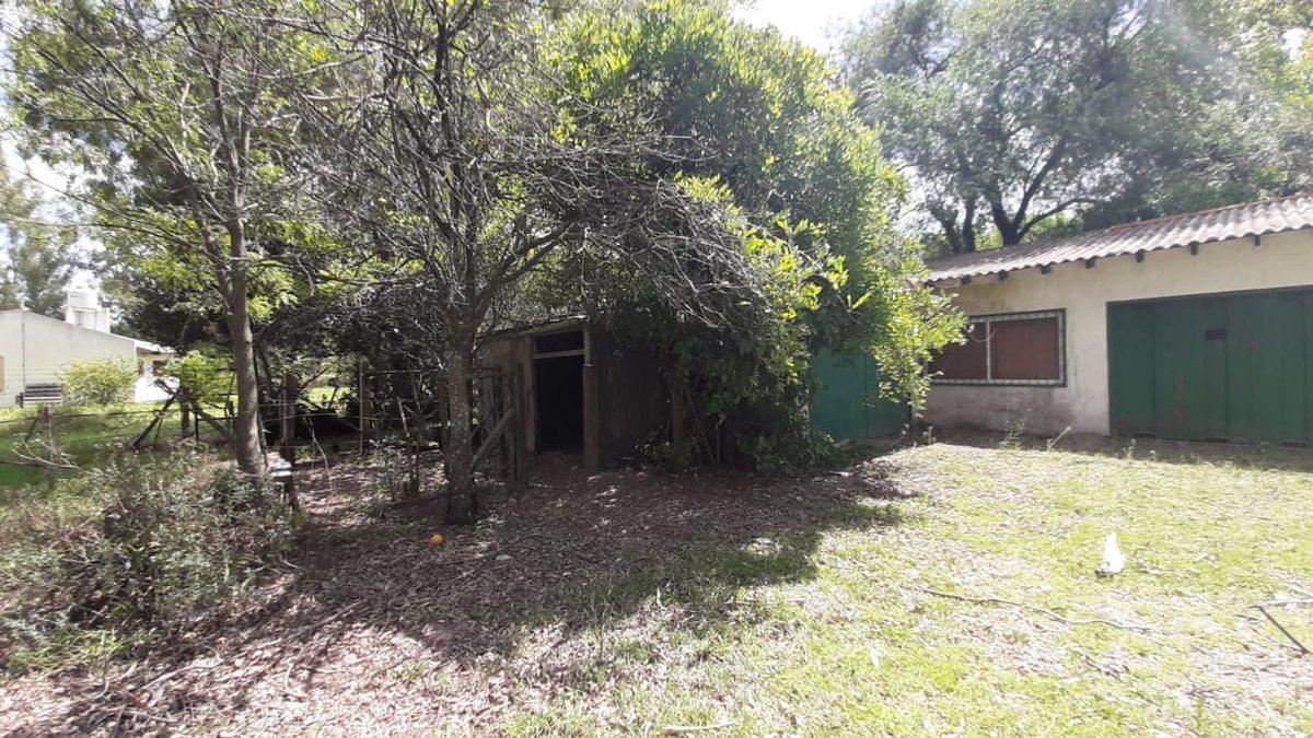 Foto de CASA QUINTA 5000 M2 3 DORM EXC UBICACION, imagen 4