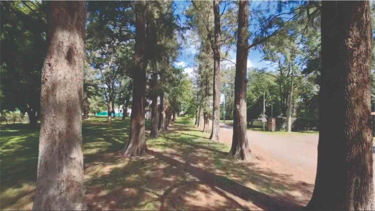 Foto de VENTA LOTE CAÑUELAS 800 M² BARRIO CERRADO NATURAL, imagen 1