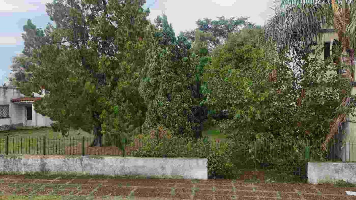 Foto de LOTE VENTA EN BURZACO METROS AVENIDA, imagen 2
