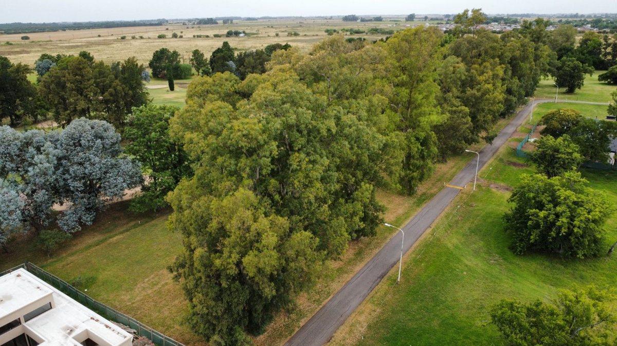 Foto de VENTA LOTE AL GOLF 600M2 EL PARAISO COUNTRY CLUB, imagen 1
