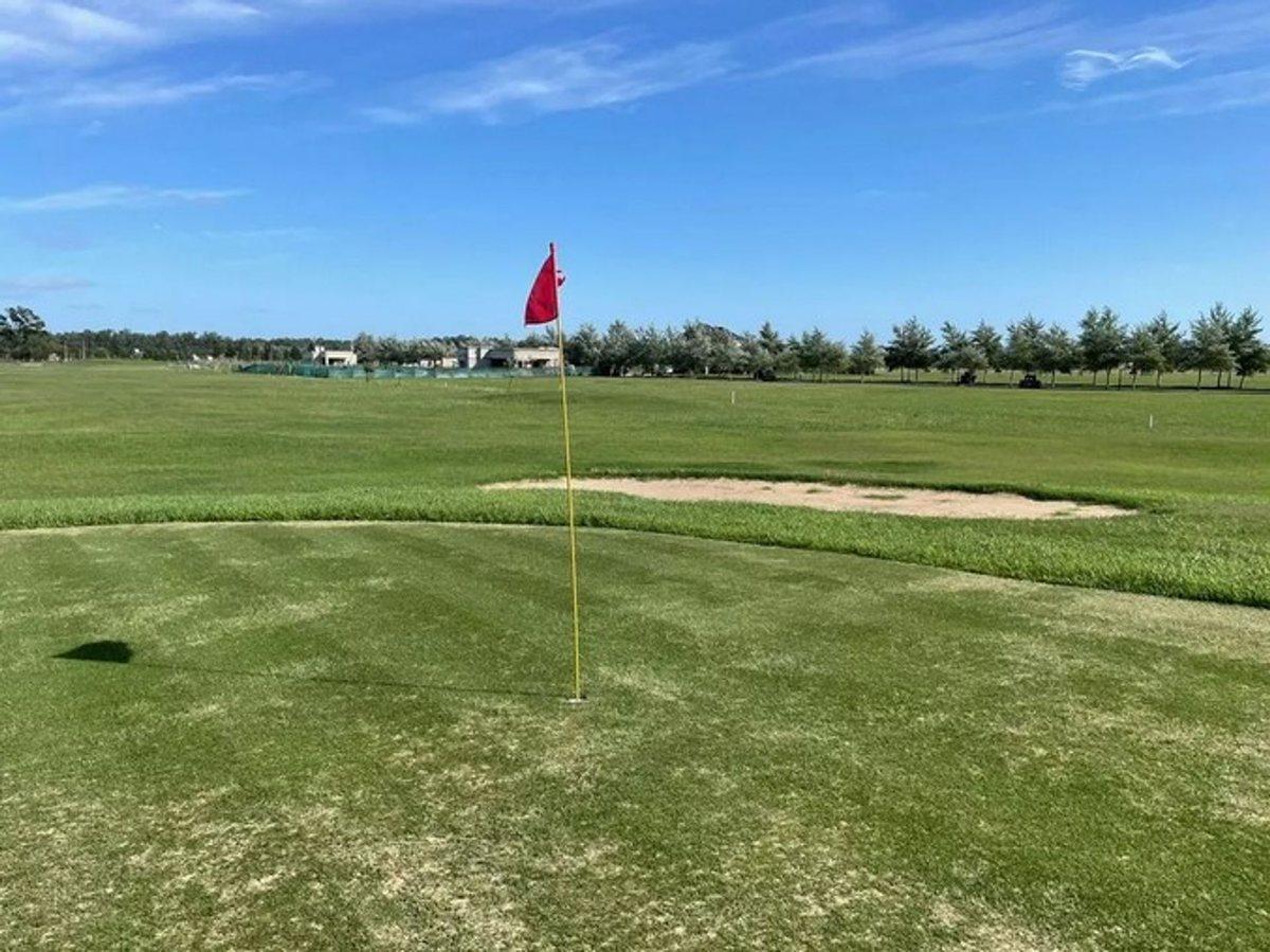 Foto de LOTE EN VENTA EN HARAS DEL SUR III, imagen 3