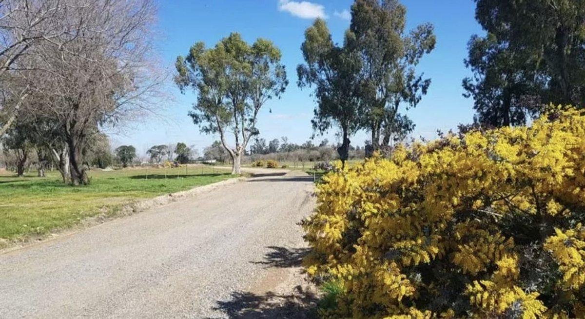 Foto de LOTE BARRIO PRIVADO SAINT JOSEPH VENTA OPORTUNIDAD, imagen 4