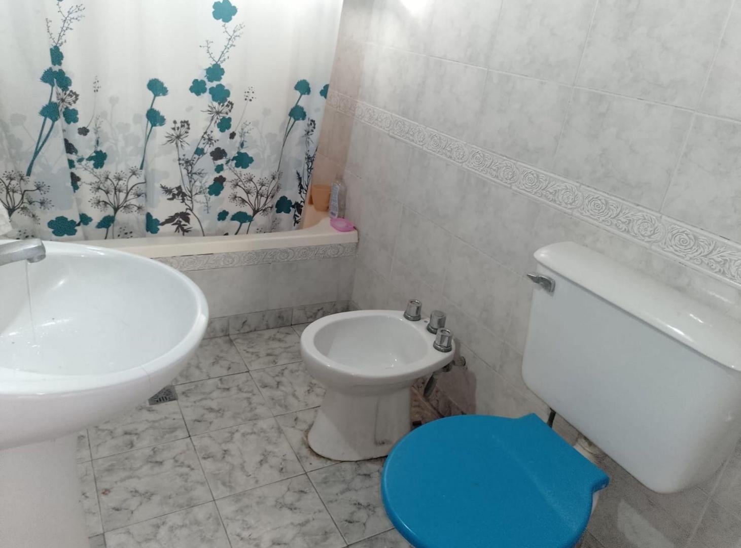 Foto de DEPARTAMENTO + CASA A RECICLAR, SAN JOSE TEMPERLEY, imagen 5