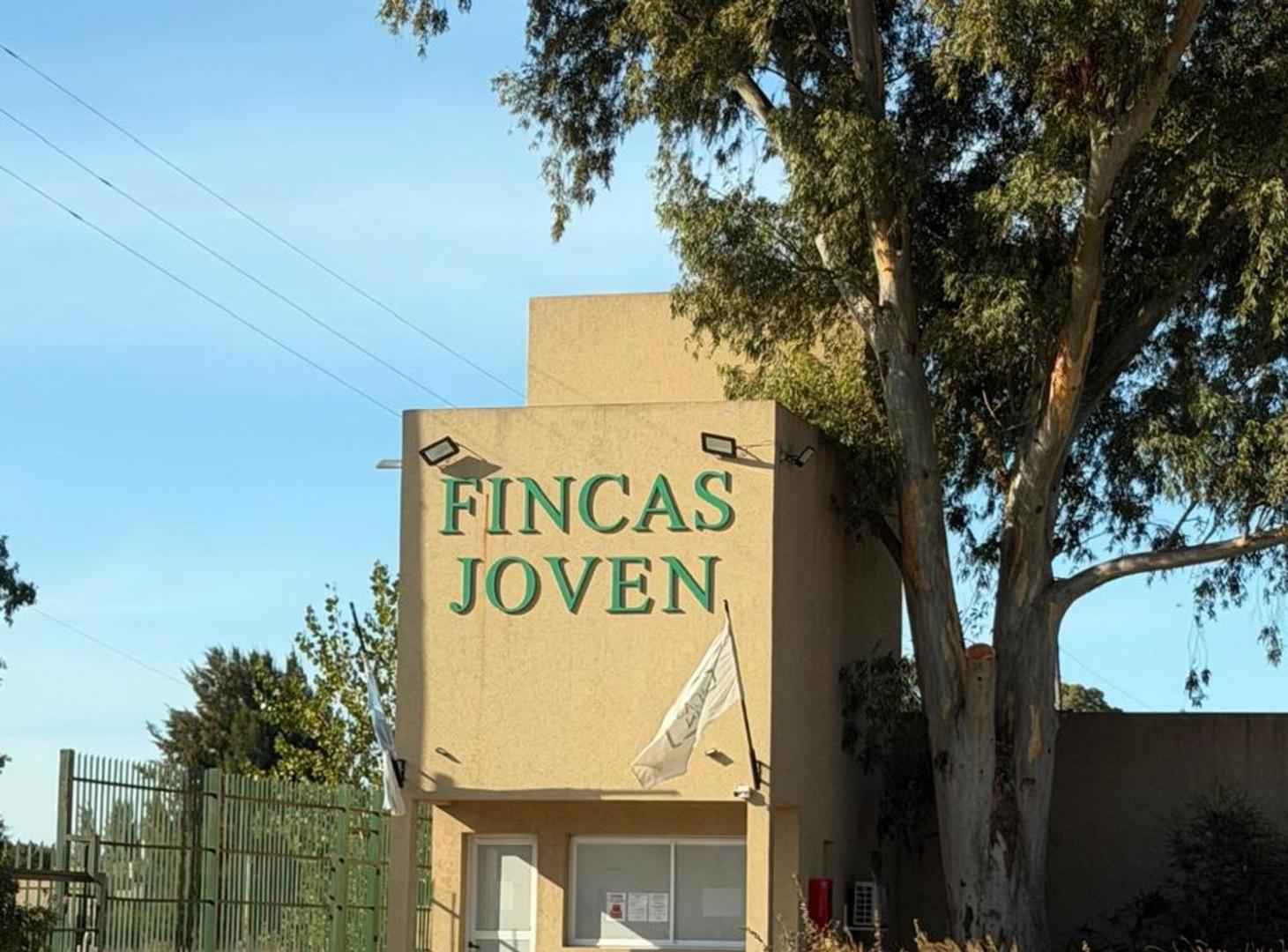 Foto de VENTA LOTE FINCAS DE SAN VICENTE - FINCAS JOVEN, imagen 2