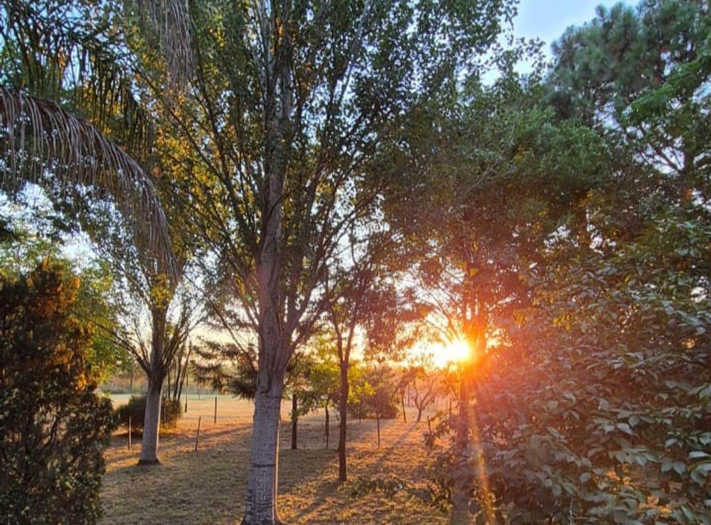 Foto de CASAQUINTA- VENTA- BO.PARQUE LAS ACACIAS BRANDSEN, imagen 5