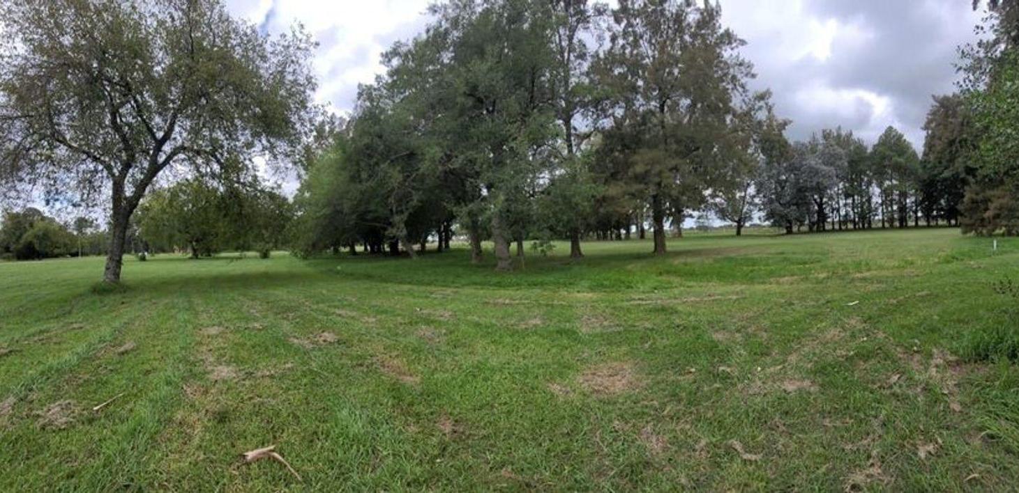 Foto de LOTE EN VENTA EN GUERNICA COUNTRY EL PARAISO, imagen 4