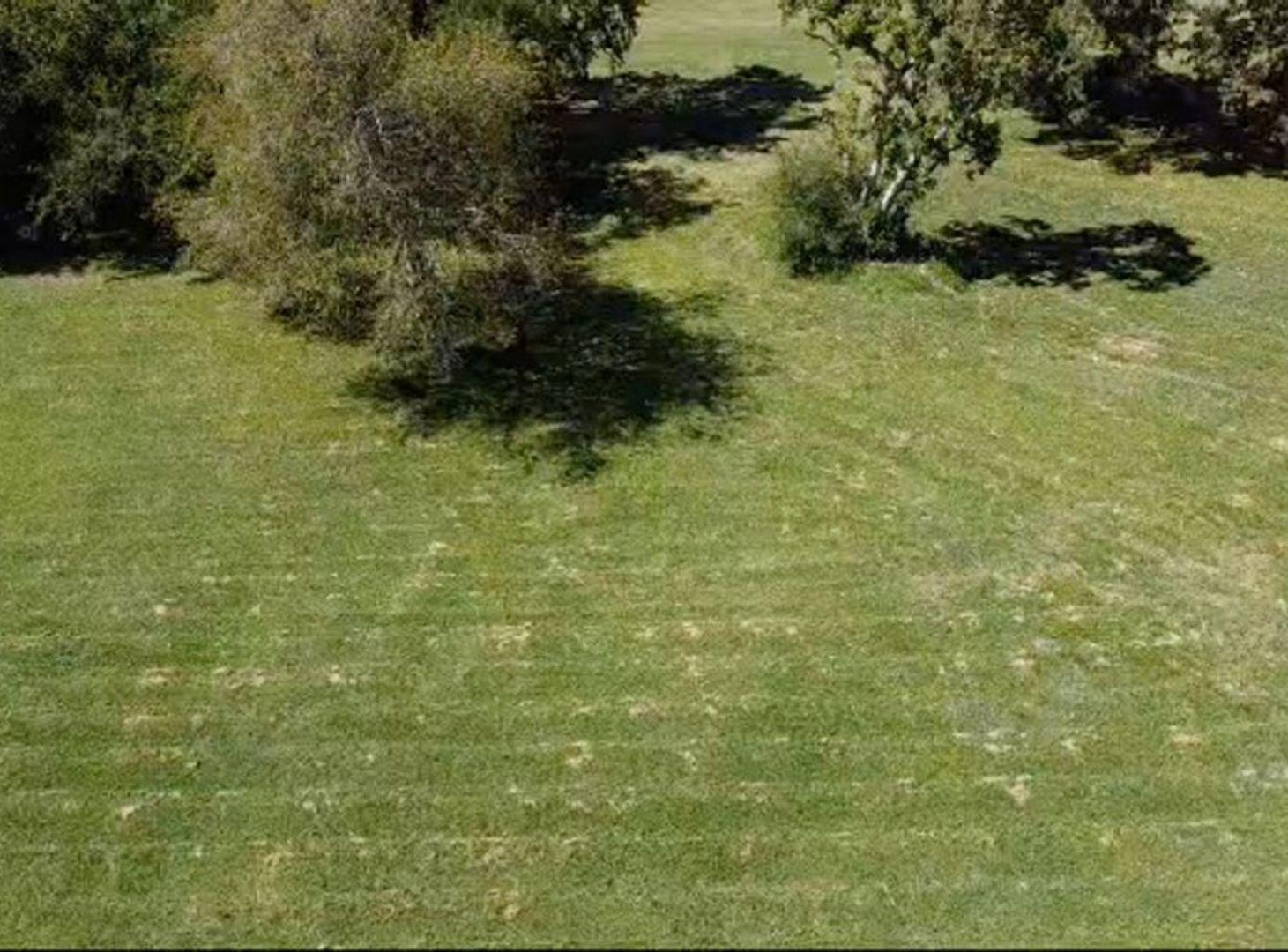 Foto de LOTE EN VENTA EN GUERNICA COUNTRY EL PARAISO, imagen 3