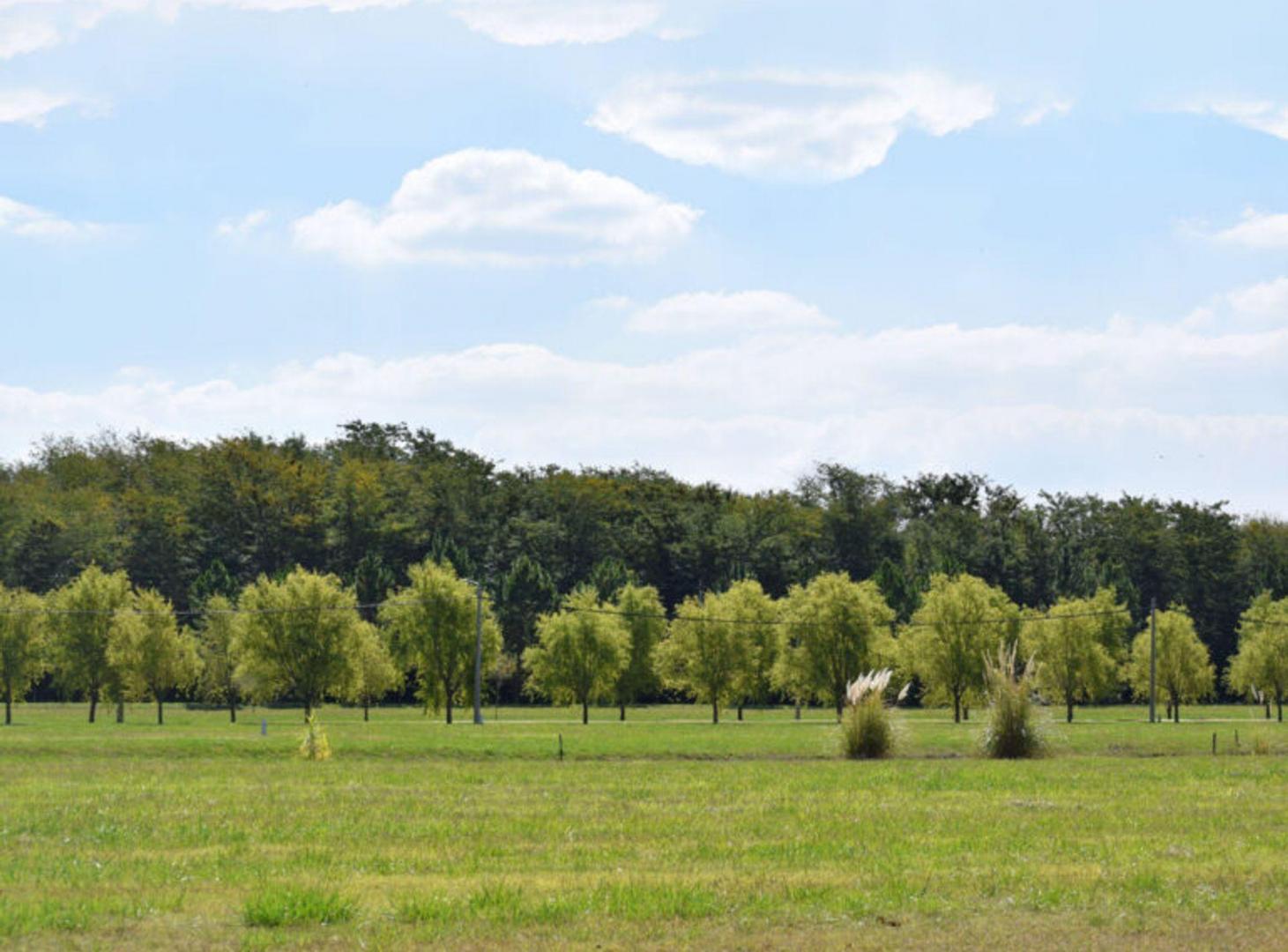 Foto de LOTE CAMPOS DE ROCA II VENTA BRANDSEN, imagen 1