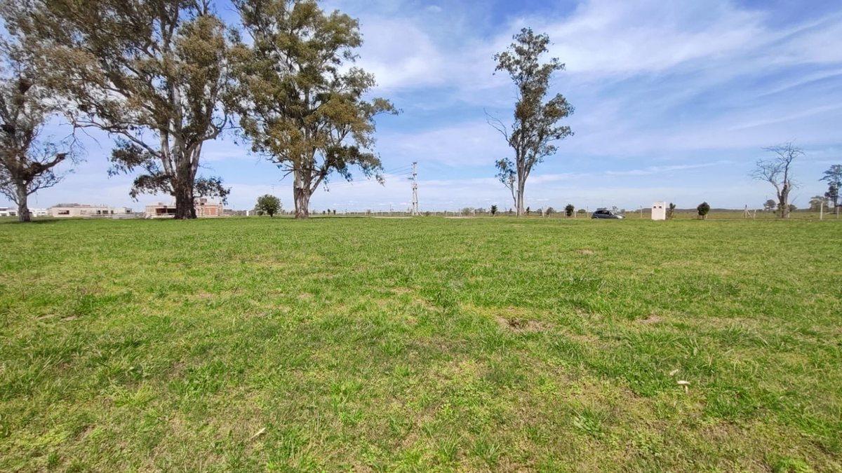 Foto de LOTE EN VENTA A LA LAGUNA -Santa Clara al Sur, imagen 3