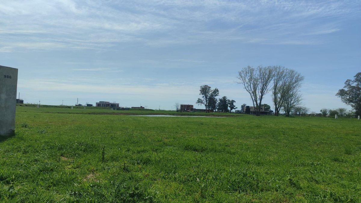 Foto de LOTE EN VENTA A LA LAGUNA -Santa Clara al Sur, imagen 4