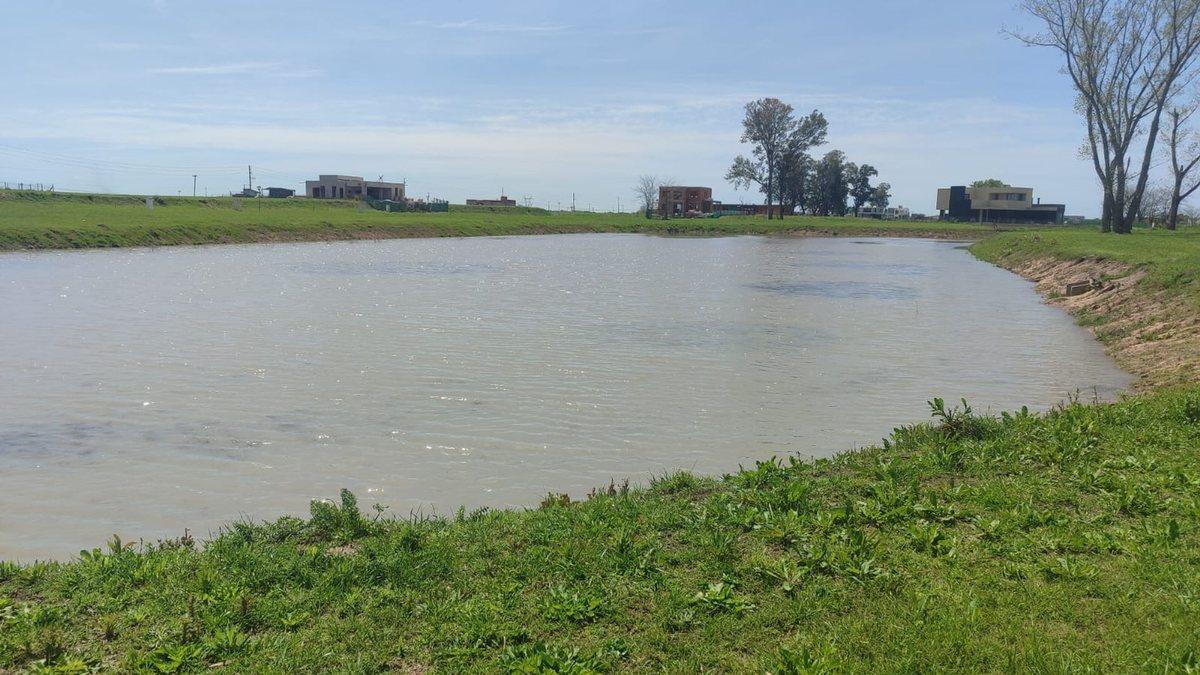 Foto de LOTE EN VENTA A LA LAGUNA -Santa Clara al Sur, imagen 5