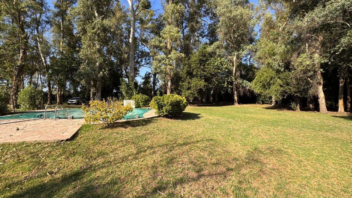 Foto de CASA VENTA BRANDSEN QUINTA AMPLIO LOTE Y PILETA, imagen 4