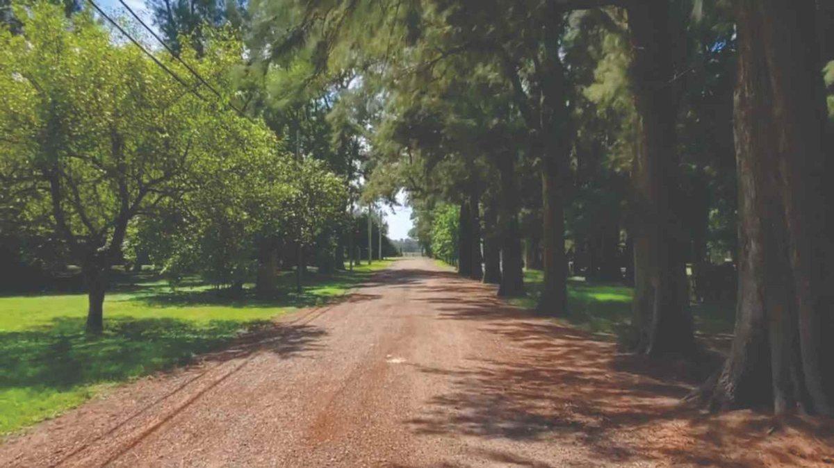 Foto de VENTA LOTE CAÑUELAS 800 M² BARRIO CERRADO NATURAL, imagen 3