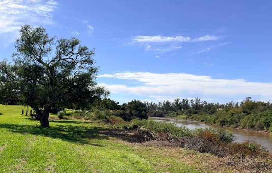 Foto de Terreno EN CASAS DE CAMPO - OLIVEROS (CARCARAÑA), imagen 3