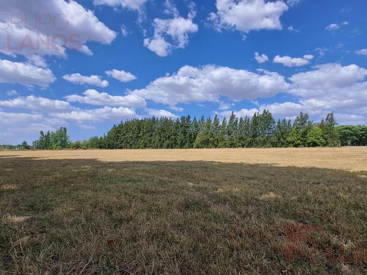 Venta Terreno en barrio cerrado Estancia Las Lilas