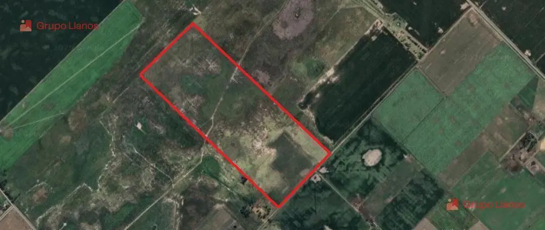 Campo de 60 hectáreas en venta – Smith, Carlos Casares | Aptitud mixta agrícola ganadera 2