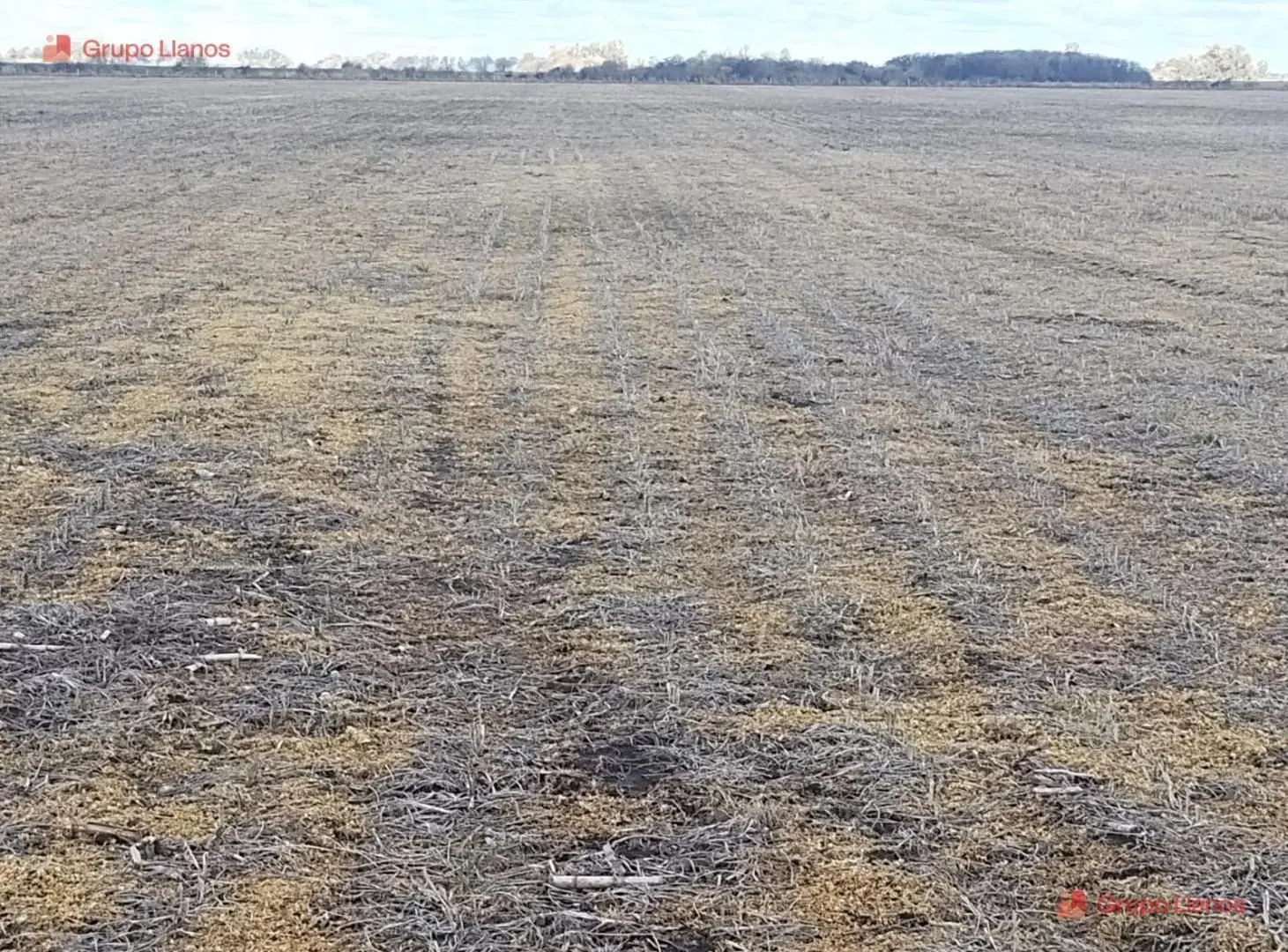 Campo 16 Ha en Venta en San Andres De Giles, apto Agricola 2