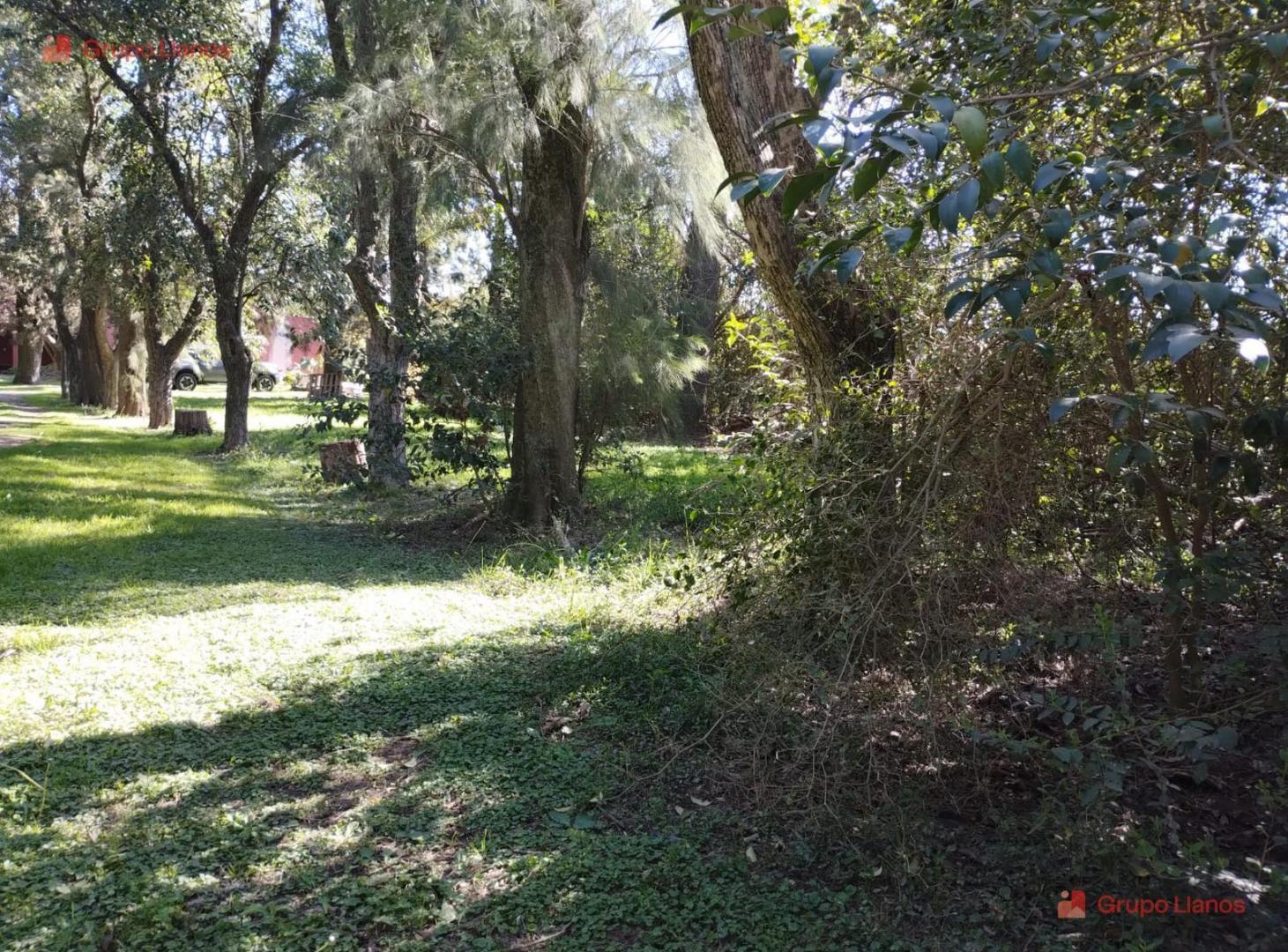 Foto de Lotes en venta en Lujan, la palomita, con arboleda, imagen 2
