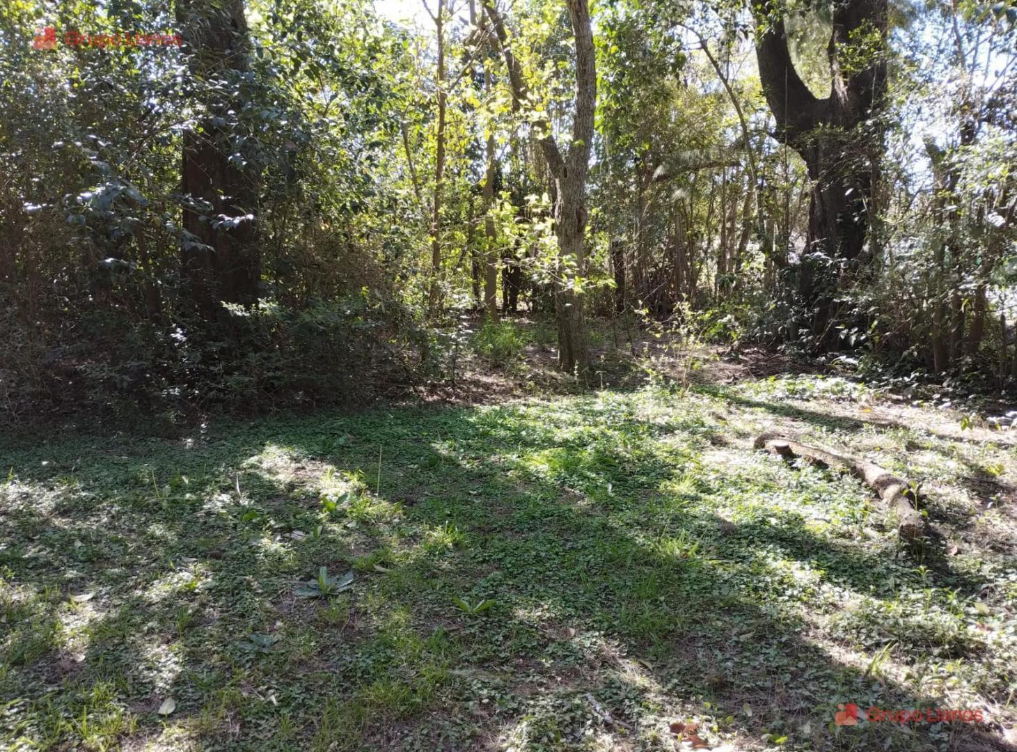 Foto de Lotes en venta en Lujan, la palomita, con arboleda, imagen 3