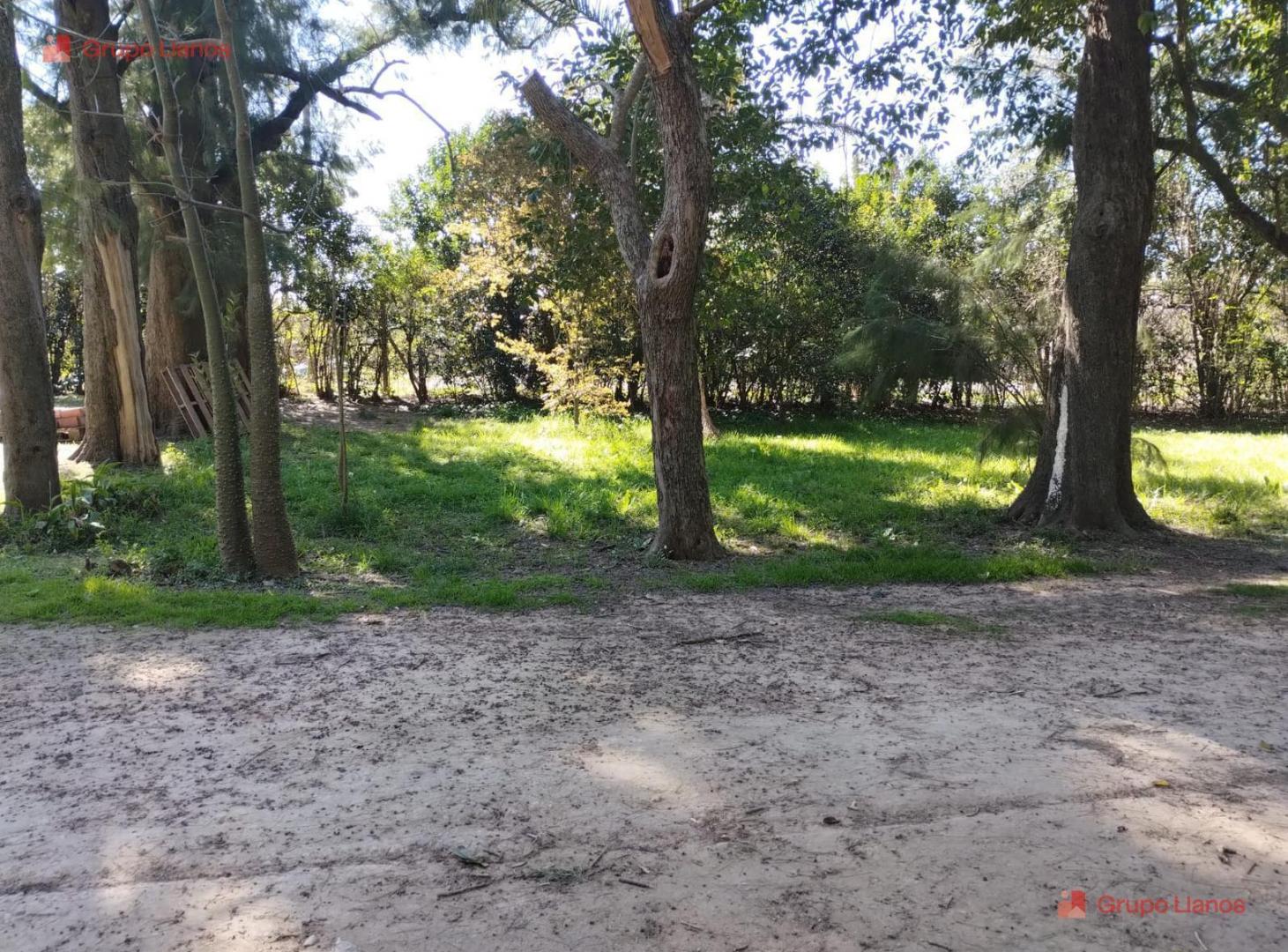 Foto de Lotes en venta en Lujan, la palomita, con arboleda, imagen 5