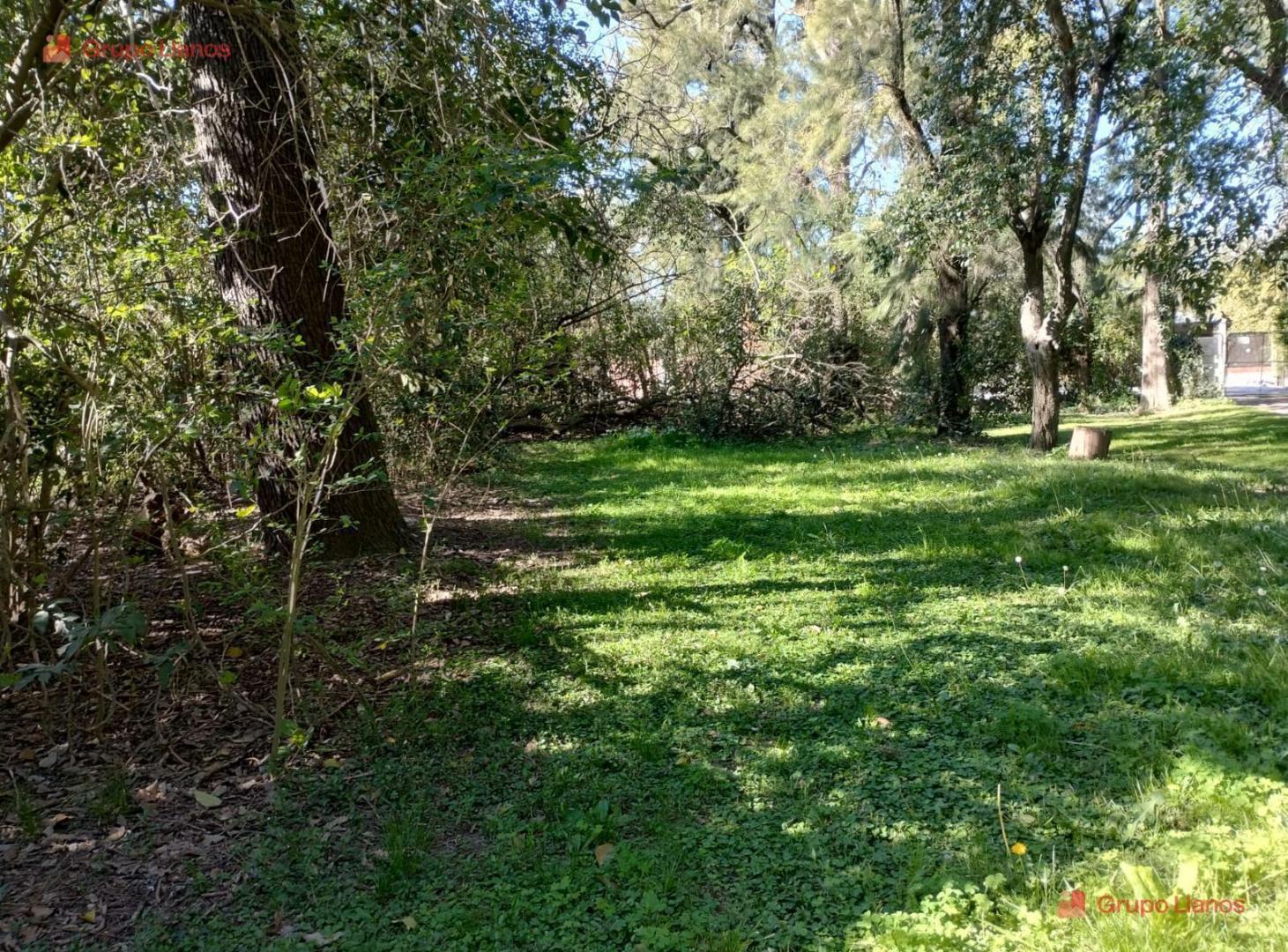 Foto de Lotes en venta en Lujan, la palomita, con arboleda, imagen 4